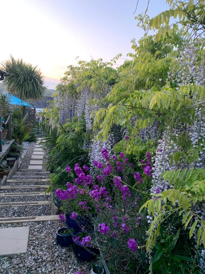 Stargazy Garden Apartment Хейл Екстериор снимка